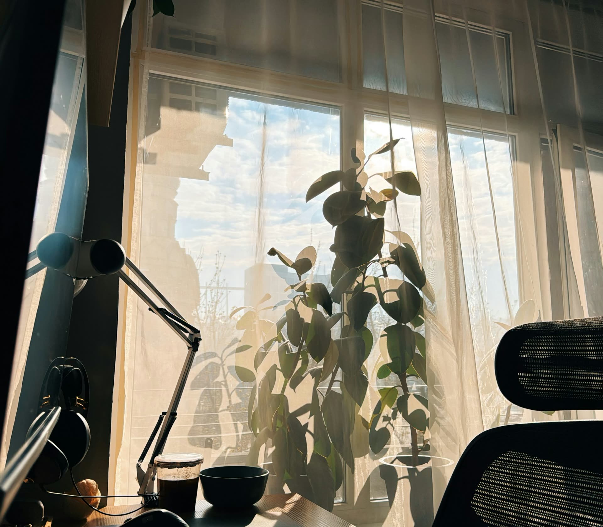 A sunlit desk with houseplants beside sheer curtains on a warm day